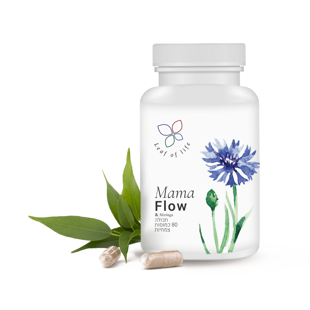 מאמא פלו עם מורינגה